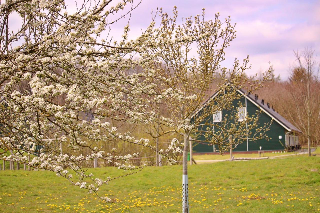 Horsetellerie Rheezerveen Hardenberg Kültér fotó
