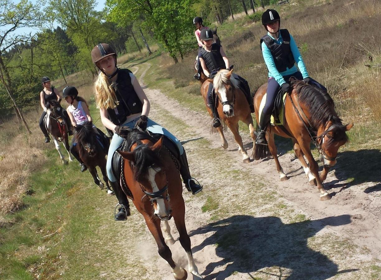 Horsetellerie Rheezerveen Hardenberg Kültér fotó