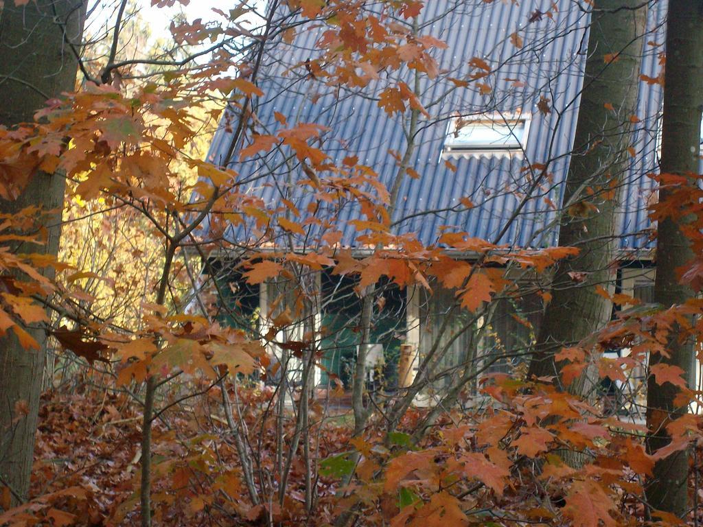 Horsetellerie Rheezerveen Hardenberg Kültér fotó