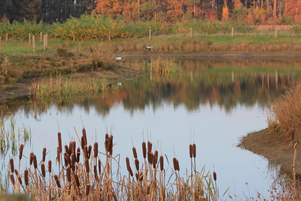 Horsetellerie Rheezerveen Hardenberg Szoba fotó
