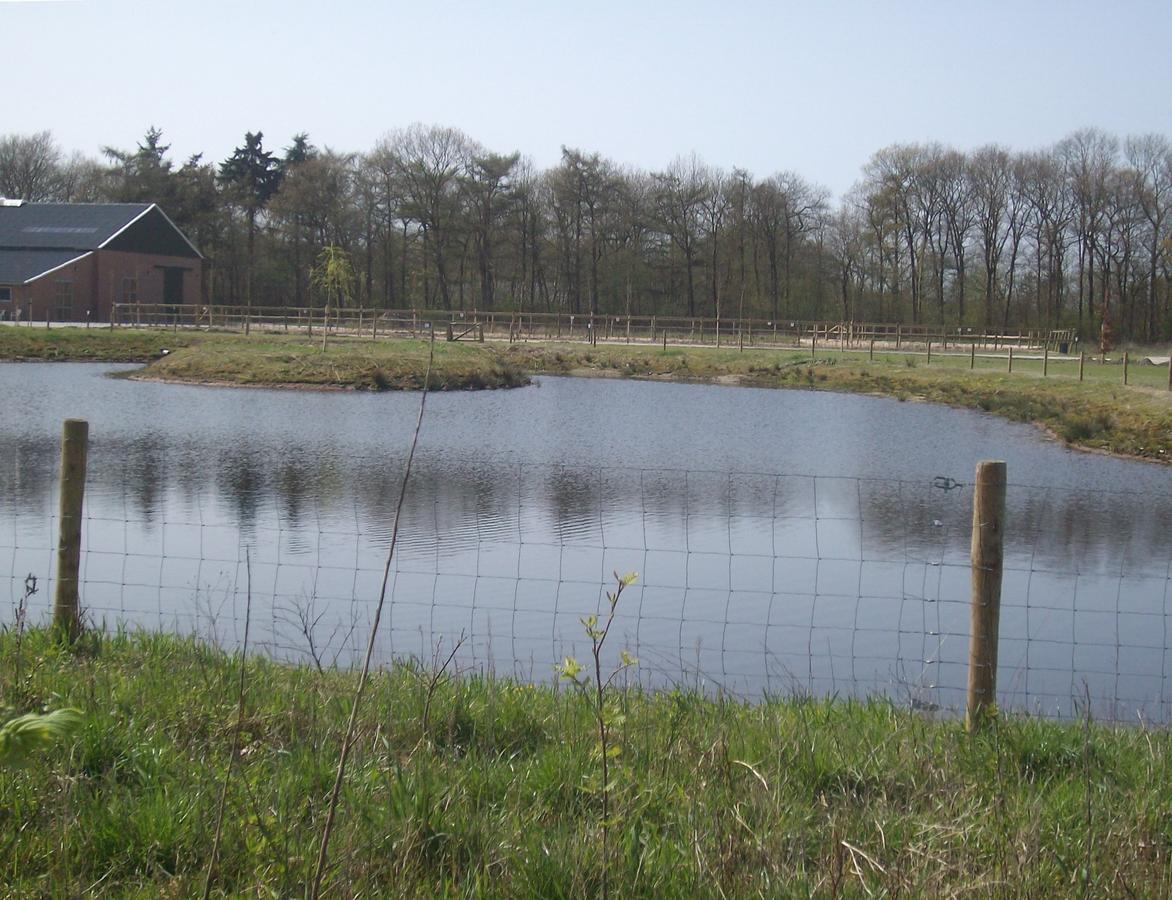 Horsetellerie Rheezerveen Hardenberg Kültér fotó